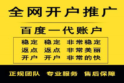 百度竞价推广运营实战技巧与经典案例剖析